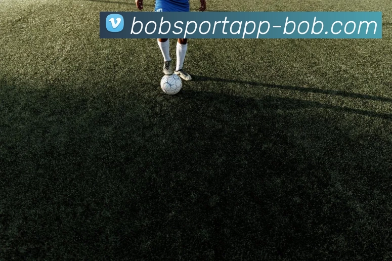 BOB体育官网APP 封面图